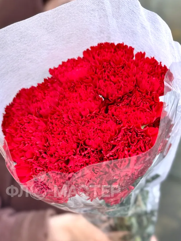 Красная гвоздика 20шт.