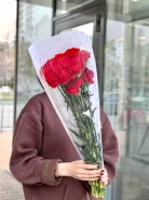 Красная гвоздика 20шт. 2