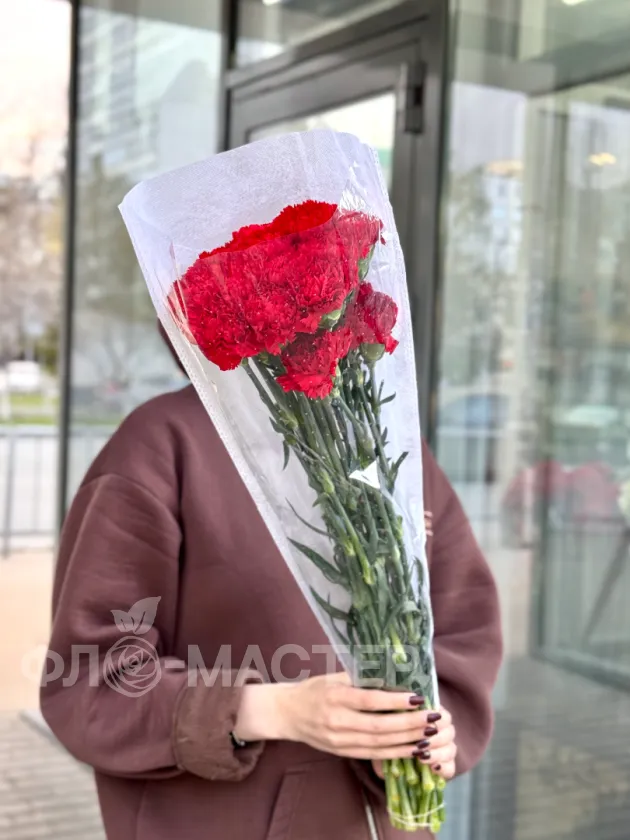 Красная гвоздика 20шт.