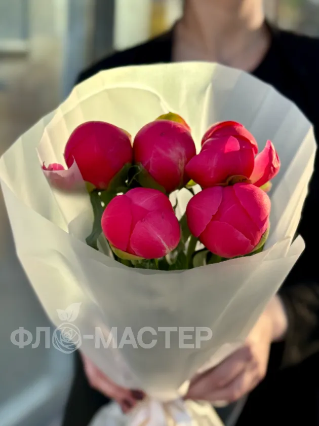 Пионы меняющие цвет (Корал Шарм) 5шт