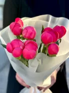 Пионы меняющие цвет (Корал Шарм) 7шт 1