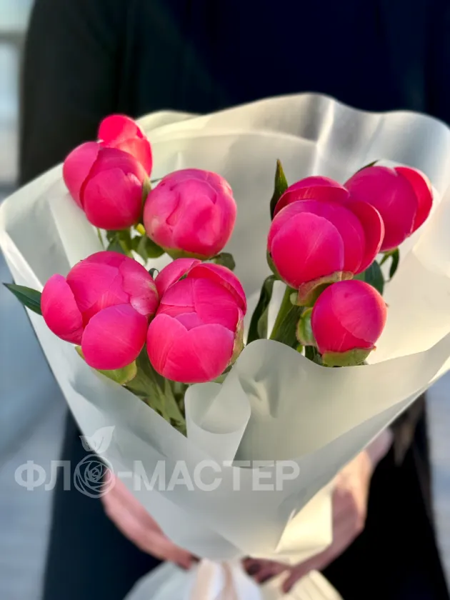 Пионы меняющие цвет (Корал Шарм) 7шт