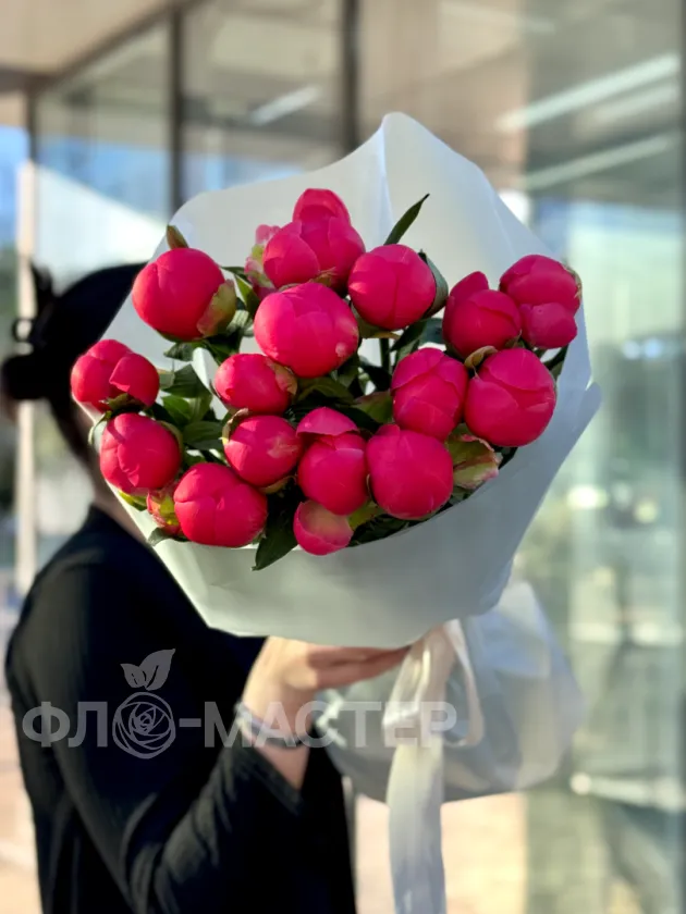 Пионы меняющие цвет (Корал Шарм) 15шт