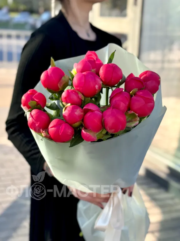 Пионы меняющие цвет (Корал Шарм) 15шт