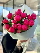 Пионы меняющие цвет (Корал Шарм) 15шт 2