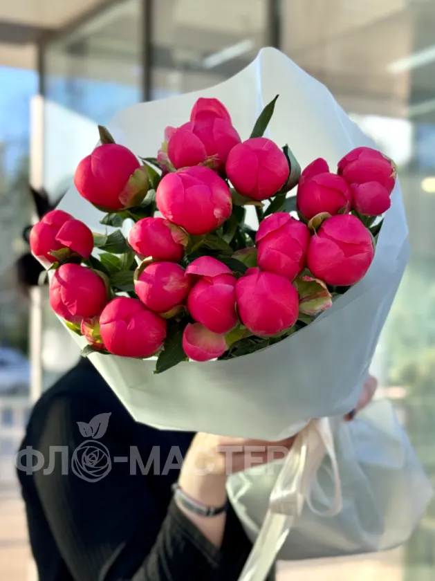 Пионы меняющие цвет (Корал Шарм) 15шт