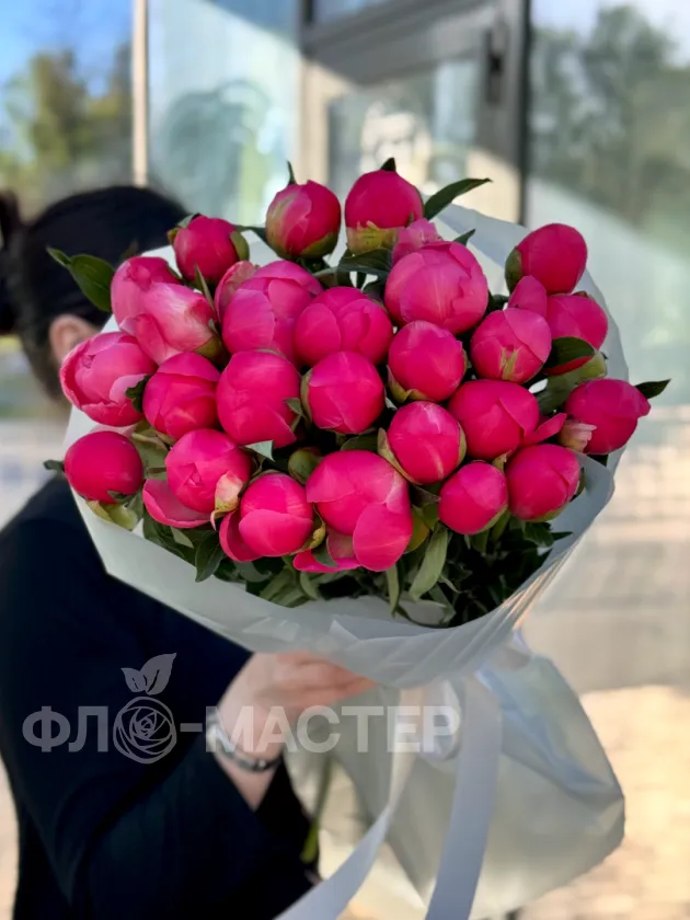 Пионы меняющие цвет (Корал Шарм) 25шт