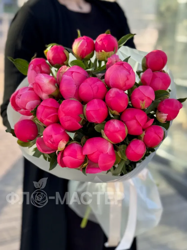 Пионы меняющие цвет (Корал Шарм) 25шт