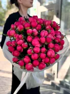 Пионы меняющие цвет (Корал Шарм) 51шт 0