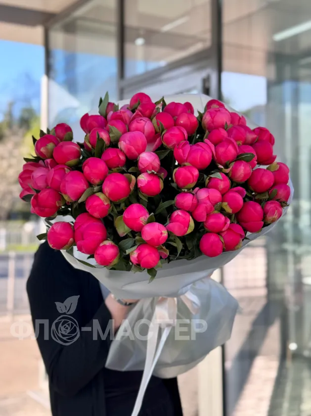 Пионы меняющие цвет (Корал Шарм) 51шт