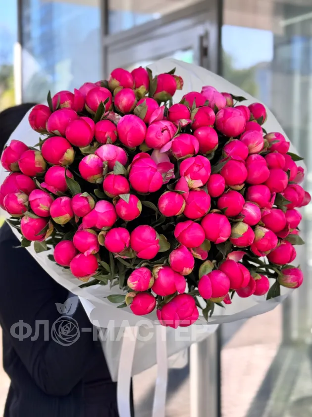 Пионы меняющие цвет (Корал Шарм) 75шт