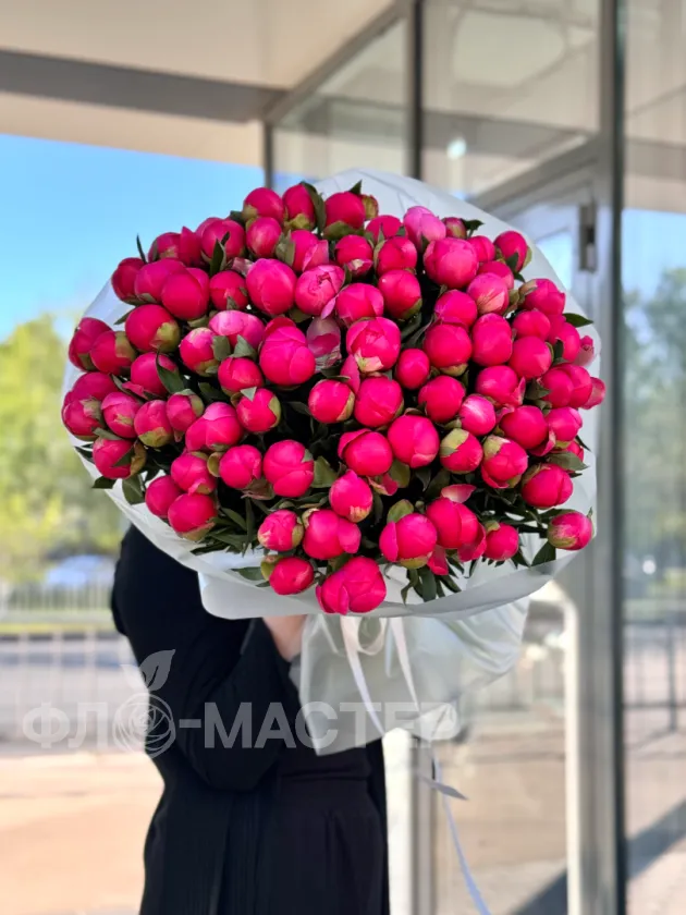Пионы меняющие цвет (Корал Шарм) 75шт