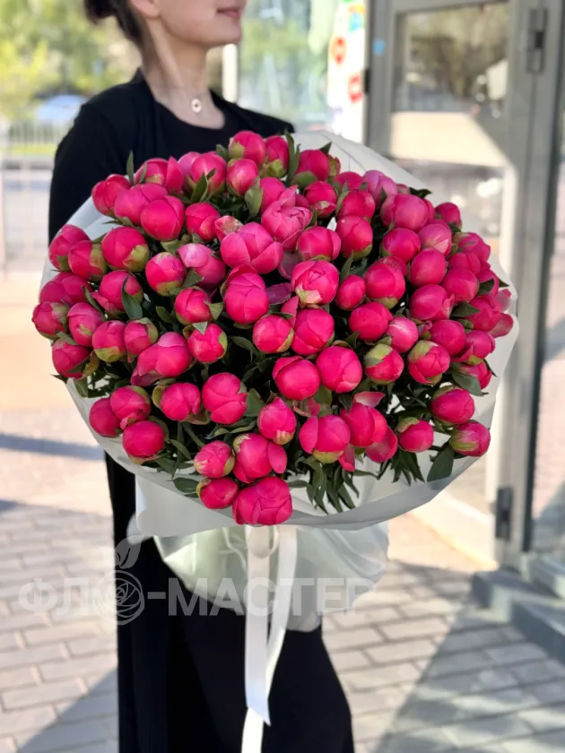 Пионы меняющие цвет (Корал Шарм) 75шт