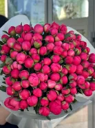 Пионы меняющие цвет (Корал Шарм) 101шт 2