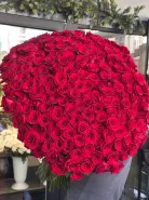 Метровые розы Эквадор 201 шт 0