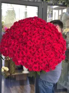 Метровые розы Эквадор 201 шт 1