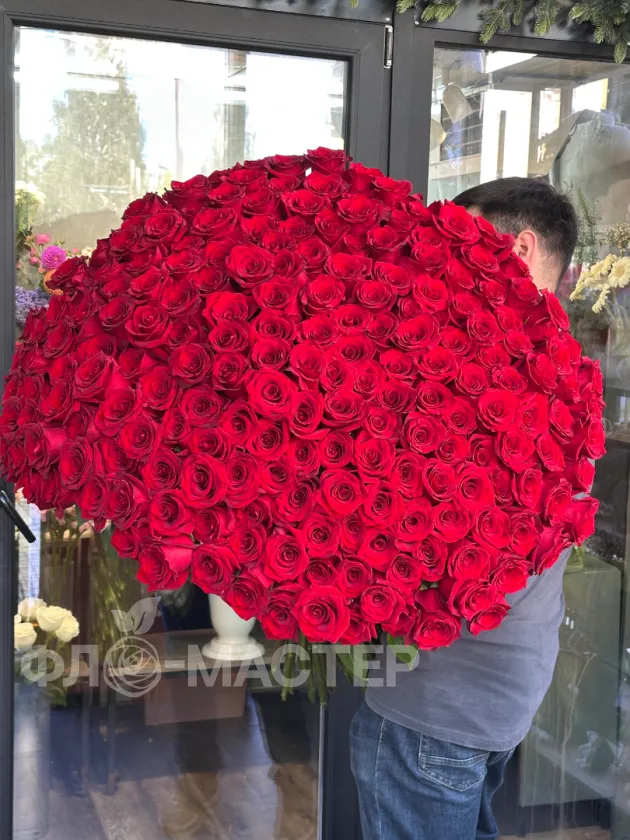 Метровые розы Эквадор 201 шт