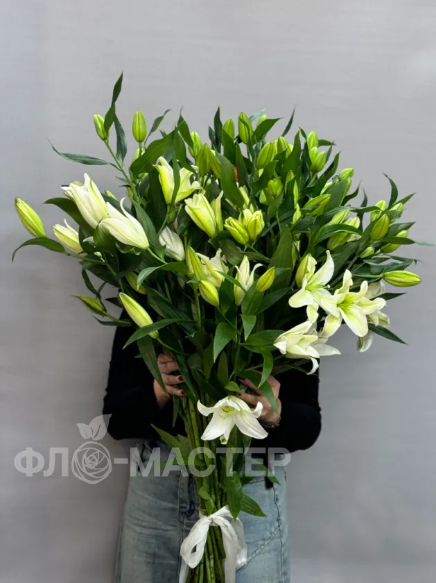 Лилия (5шт, 7шт, 15шт, 25шт, 51шт)