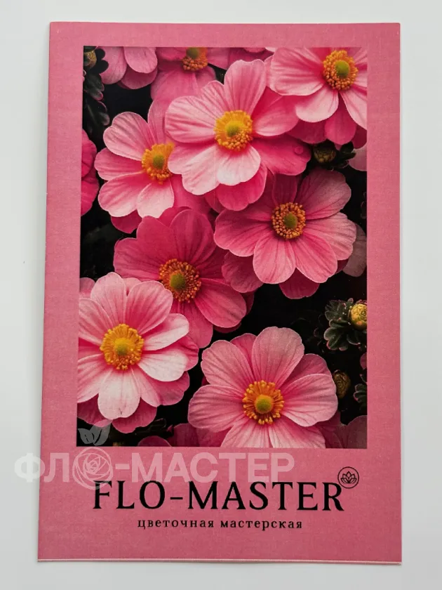 Открытка в ассортименте 2