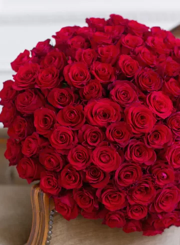 101 красная Эквадорская роза от интернет-магазина цветов в 