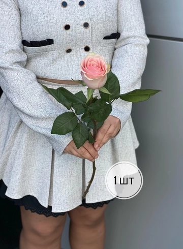 Розовые розы Эквадор 50 см (1шт, 3шт, 5шт, 7шт, 9шт) от интернет-магазина цветов в 