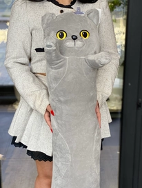 Кот британский от интернет-магазина «» в 