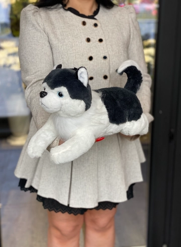 Собака Хаски от интернет-магазина цветов в 