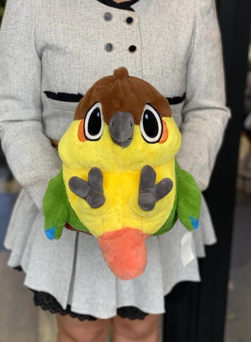 Попугай  от интернет-магазина цветов в 