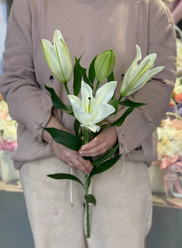 Лилия белая от интернет-магазина цветов в 