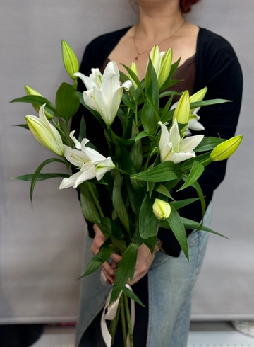 Лилия (5шт, 7шт, 15шт, 25шт, 51шт) от интернет-магазина цветов в 