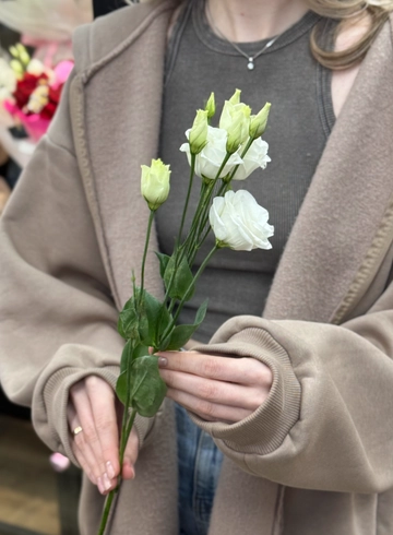 Эустома белая от интернет-магазина цветов в 